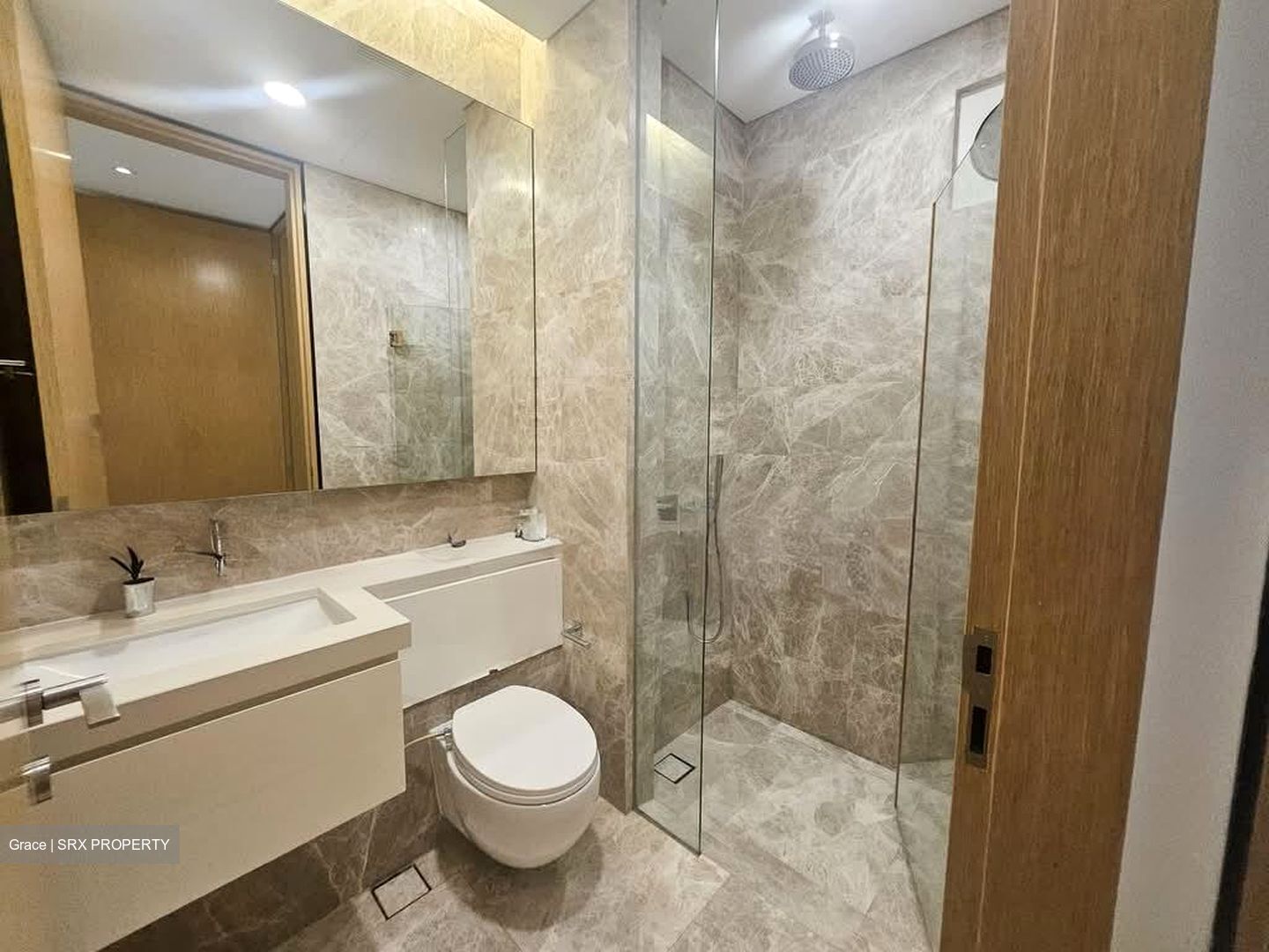 The Laurels (D9), Condominium #554527521